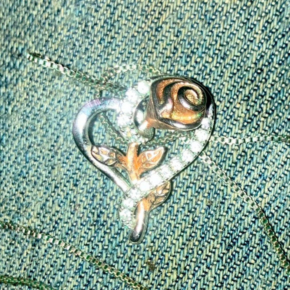 Rose in heart sterling silver and rose gold CZ necklace